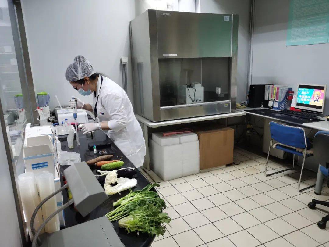 城区食品检测实验室装修方案